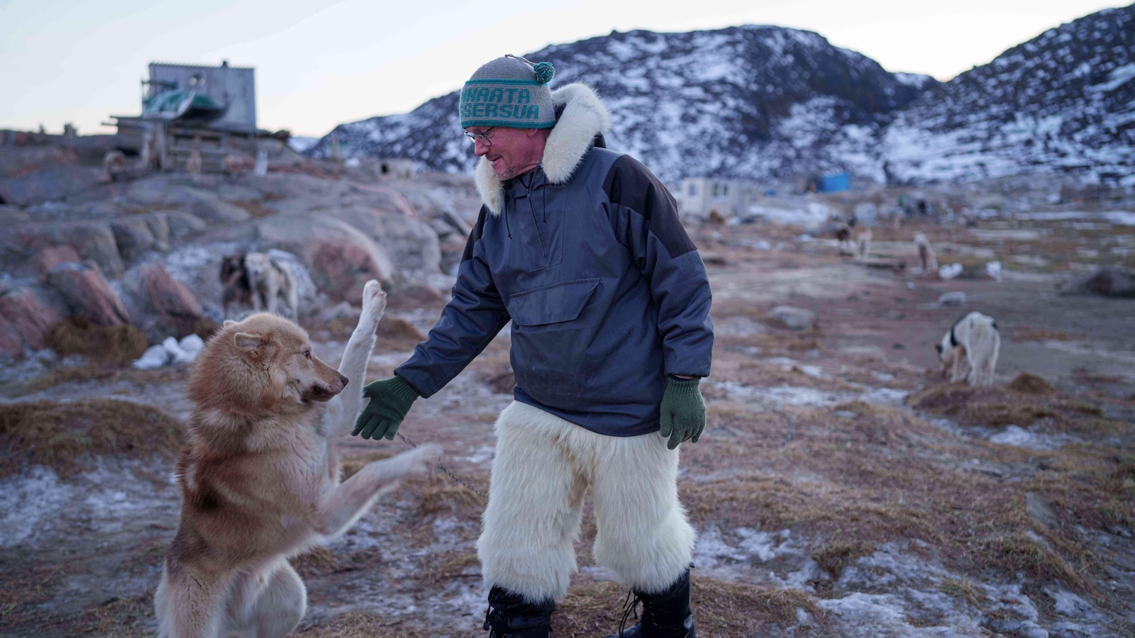 A Greenland sled dog champion fears for his culture as climate change melts the icenomadictrails